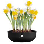 jazz bowl 28cm living black